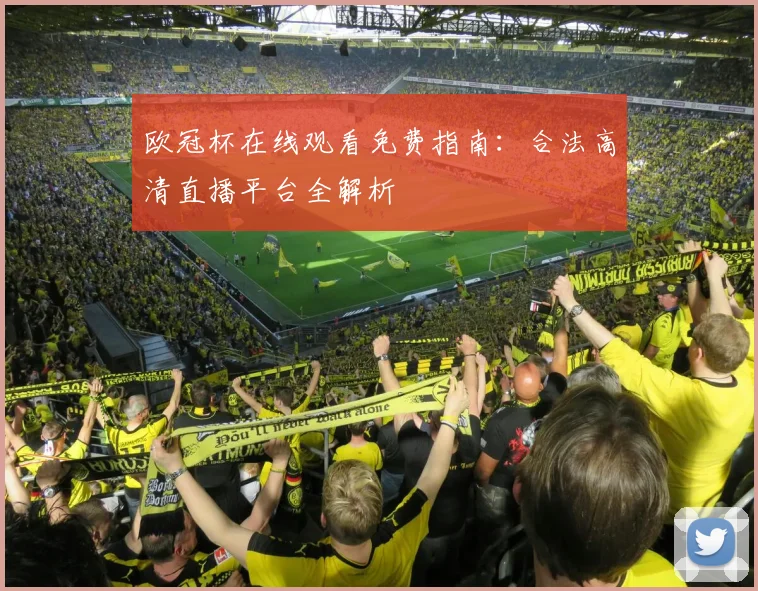 欧冠杯在线观看免费指南：合法高清直播平台全解析