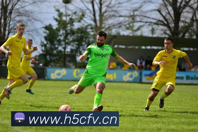 米兰网站平台生态图